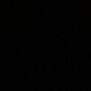 Meet your Posher, Bella B